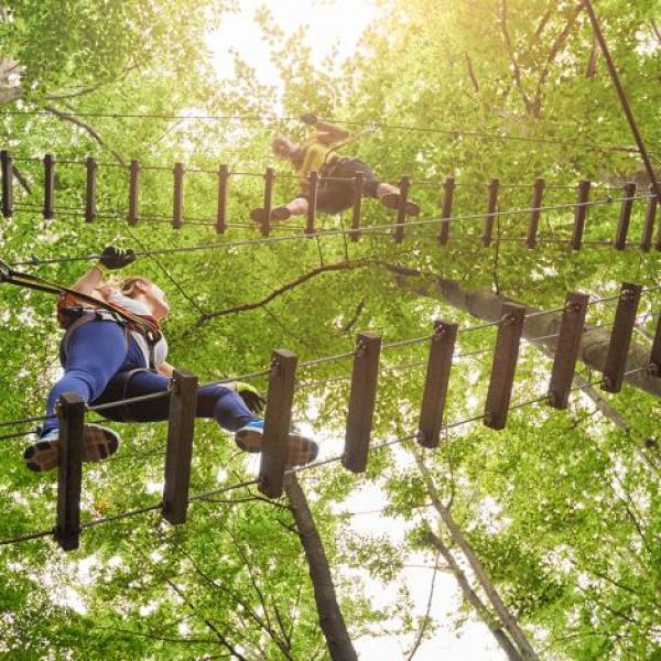 goape smaller2